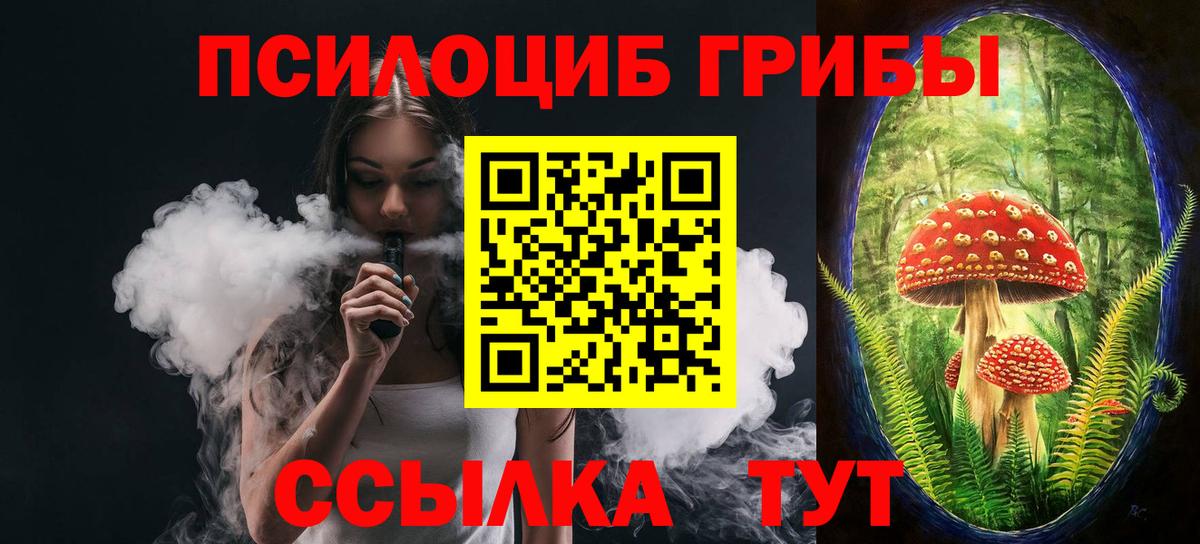 наркота  Вход с VPN  Галлюциногенные грибы Psilocybe  Коряжма  Псилоцибиновые грибы мухоморы 